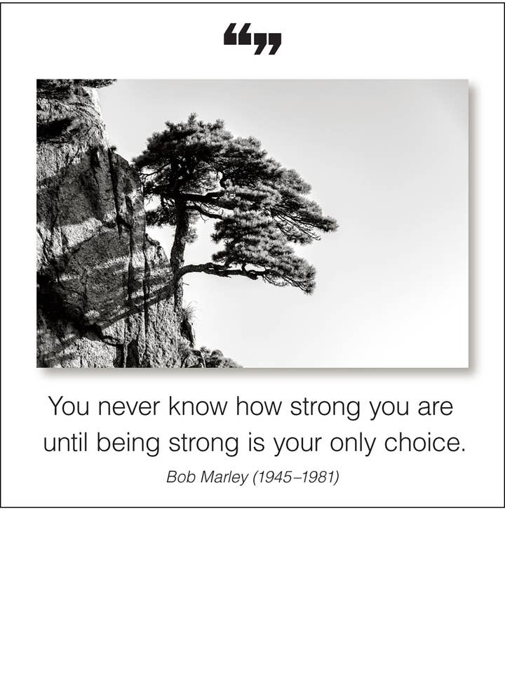 You never know Magnet for wholesale by The Borealis Press Inc