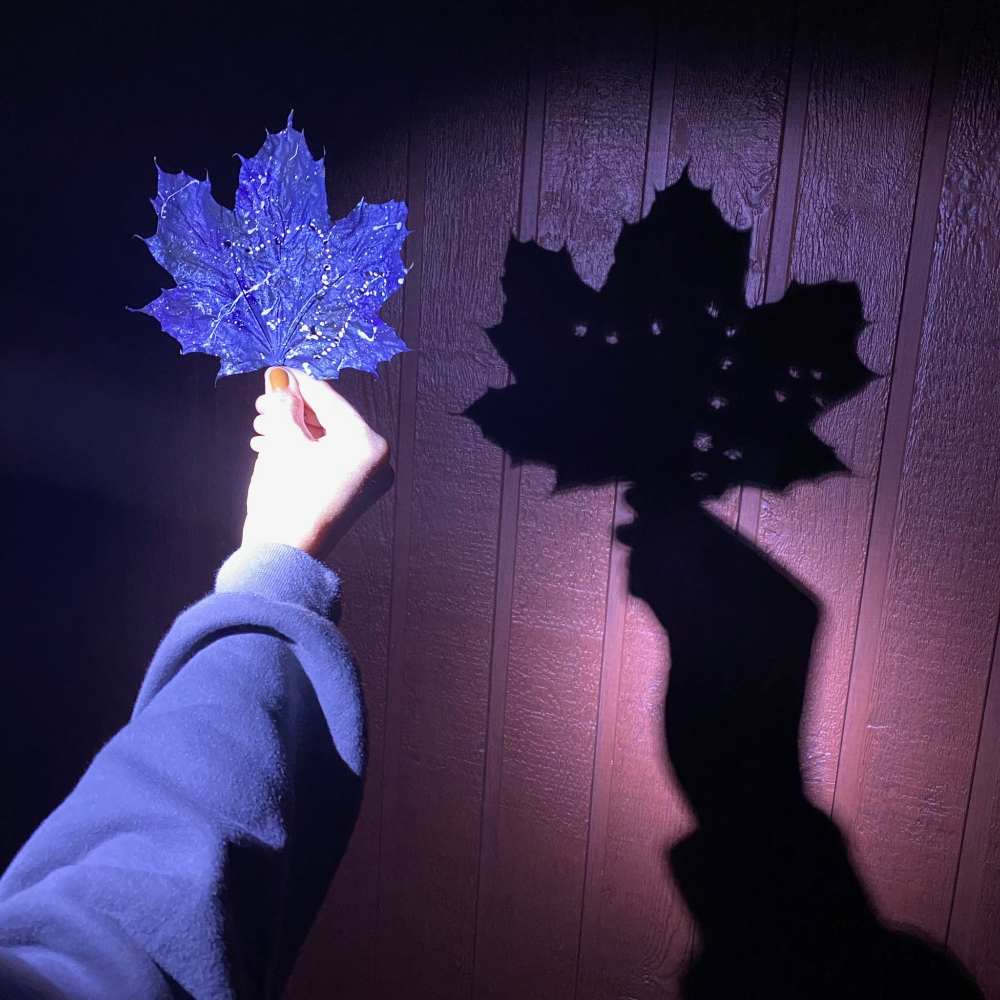 Wild Life Outdoor Adventures - Wholesale Toy Set - Kids - Night Quest Voyager Adventure Kit8