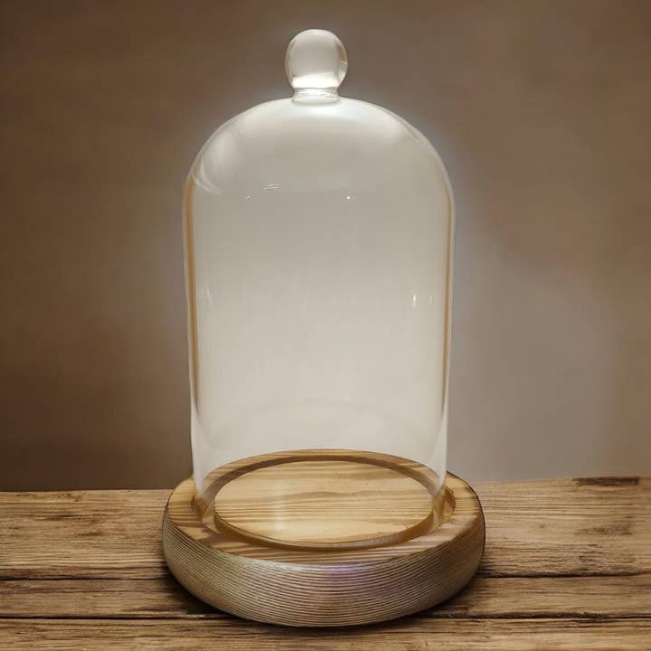 Wax Apothecary - Wholesale Decorative Jar - NEW Cloche Bell Jar with Wood Base for Candle Display