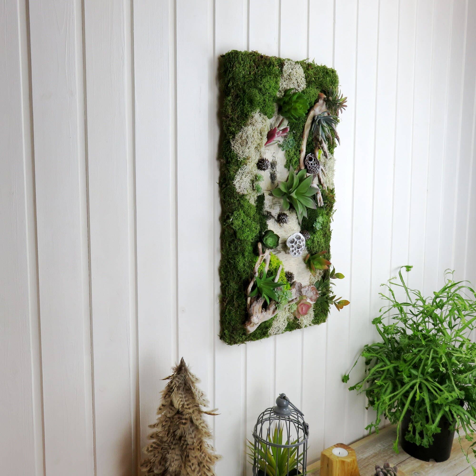 FEATHER KAN GMBH - Venta al por mayor Papel pintado 3D - Musgo, decoración de musgo; decoración del hogar; pared de plantas artísticas8