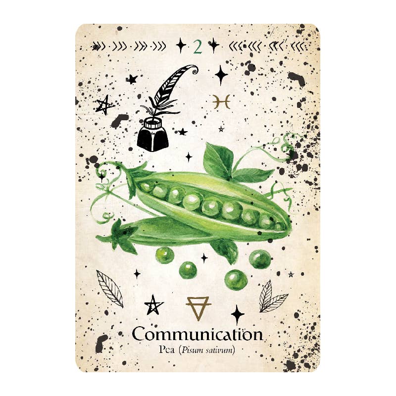 Cardshouse – wholesale Tarot cards – Green Witch Oracle Cards Rockpool3