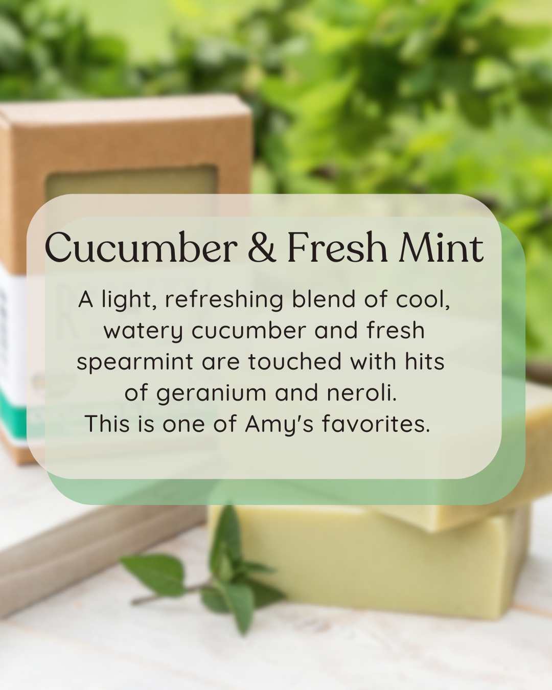 Rock Bottom Soap - Wholesale Bar Soap - Cucumber & Fresh Mint Goat Milk Soap1