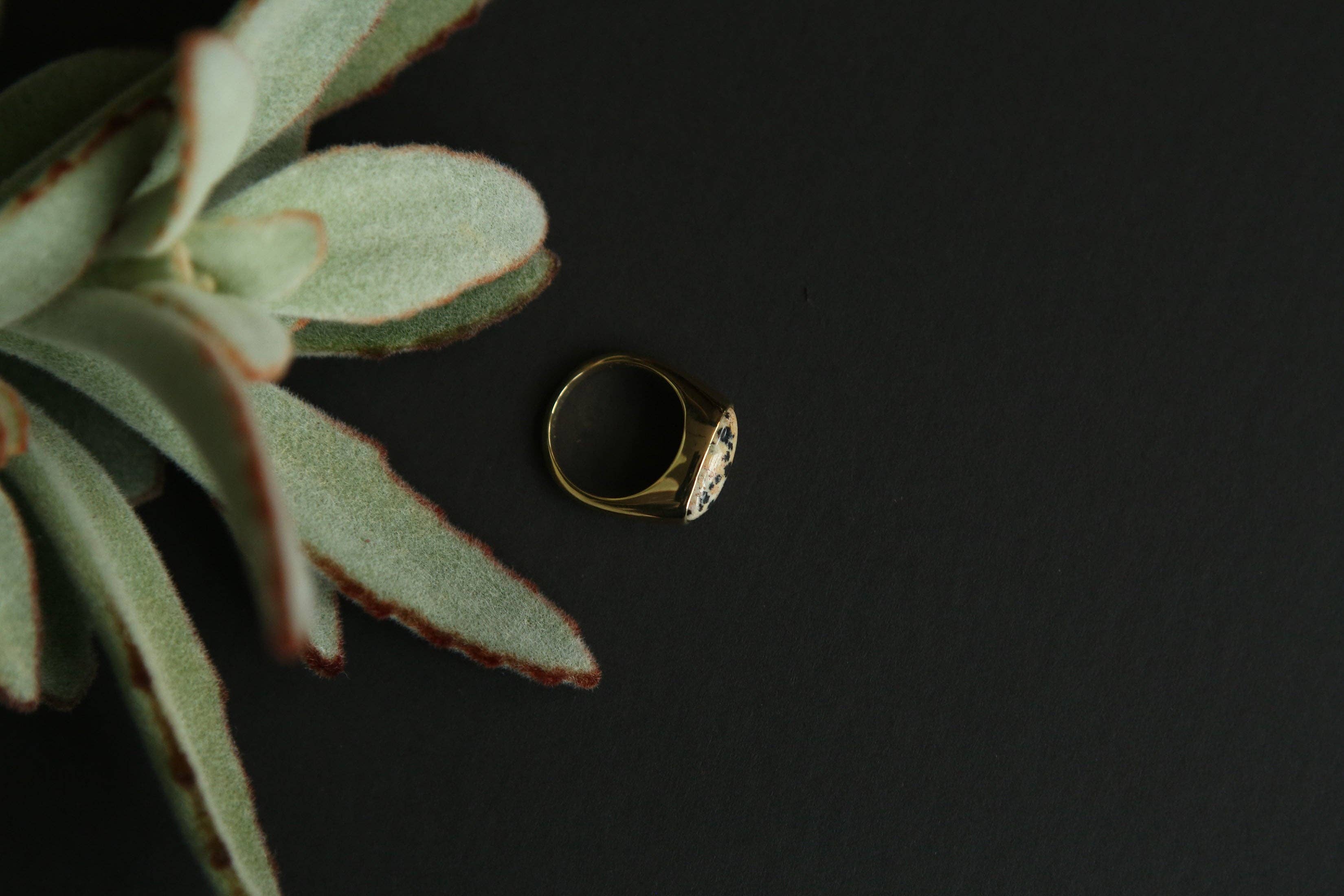 CIVAL Collective - Wholesale Signet Ring - Koda Ring17