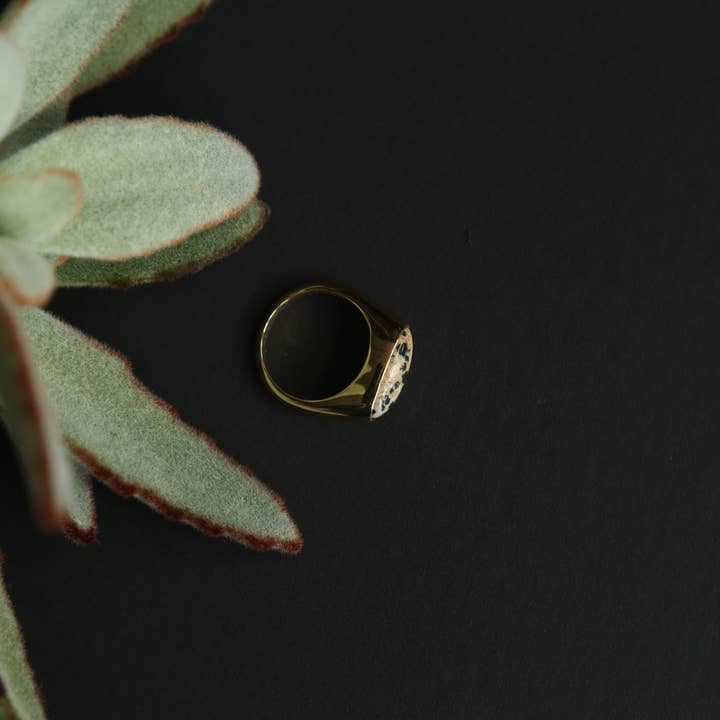 CIVAL Collective - Wholesale Signet Ring - Koda Ring17