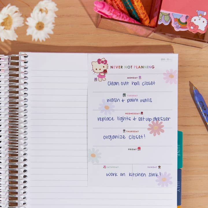 Erin Condren Design - Vente Notes autocollantes/post-it - Notes autocollantes hebdomadaires Hello Kitty, 4 x 63
