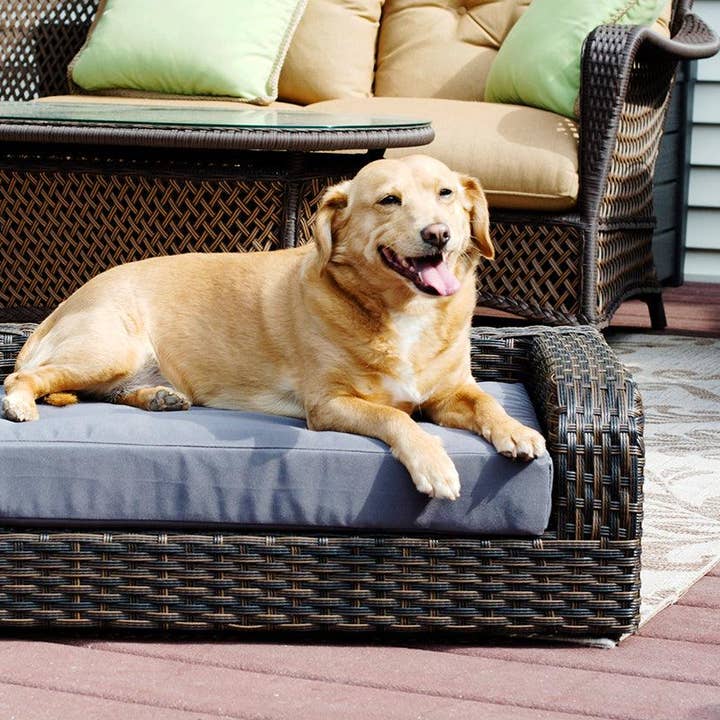 Rattan Pet Sofa for wholesale by Iconic Pet