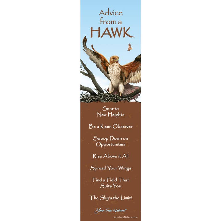Advice from a Hawk Laminated Bookmark for wholesale by Advice for Life by Your True Nature