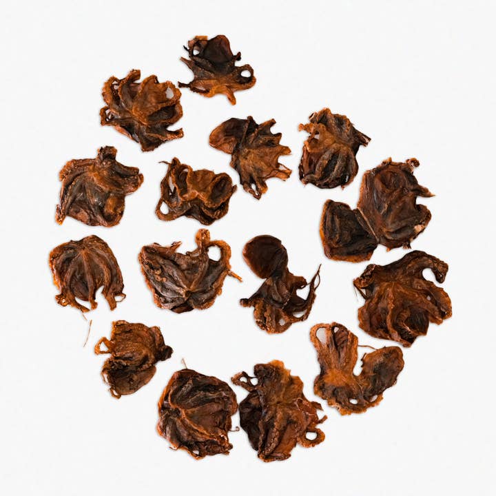 Wild n Fresh Treats - Wholesale Pet Treats - Dog - Dehydrated Wild Baby Octopus
