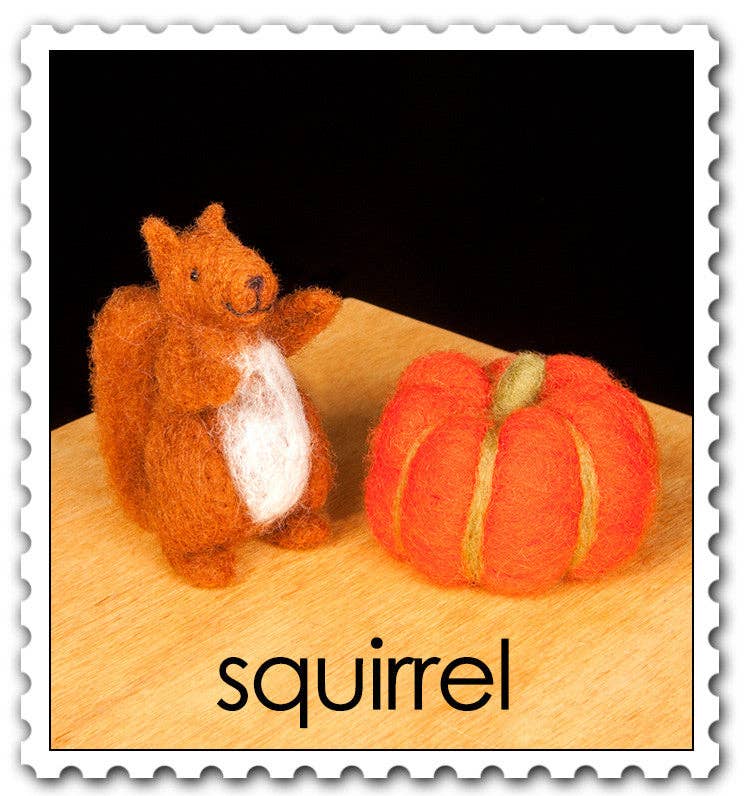 Woolpets – wholesale DIY craft kit – Squirrel Felting Kit4