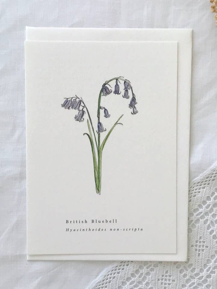 British Bluebell Botanical Illustration Spring Card for wholesale by Annie Brougham Paper Goods.