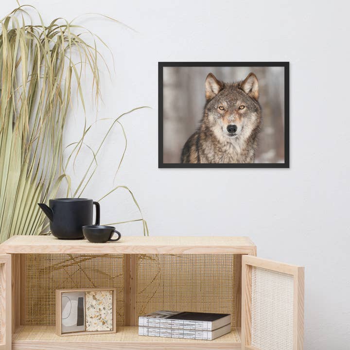 Pipa Wall Art & Home Decor - Wholesale Art Print - Portrait of Gray Wolf In The Forest Wildlife Nature Framed3