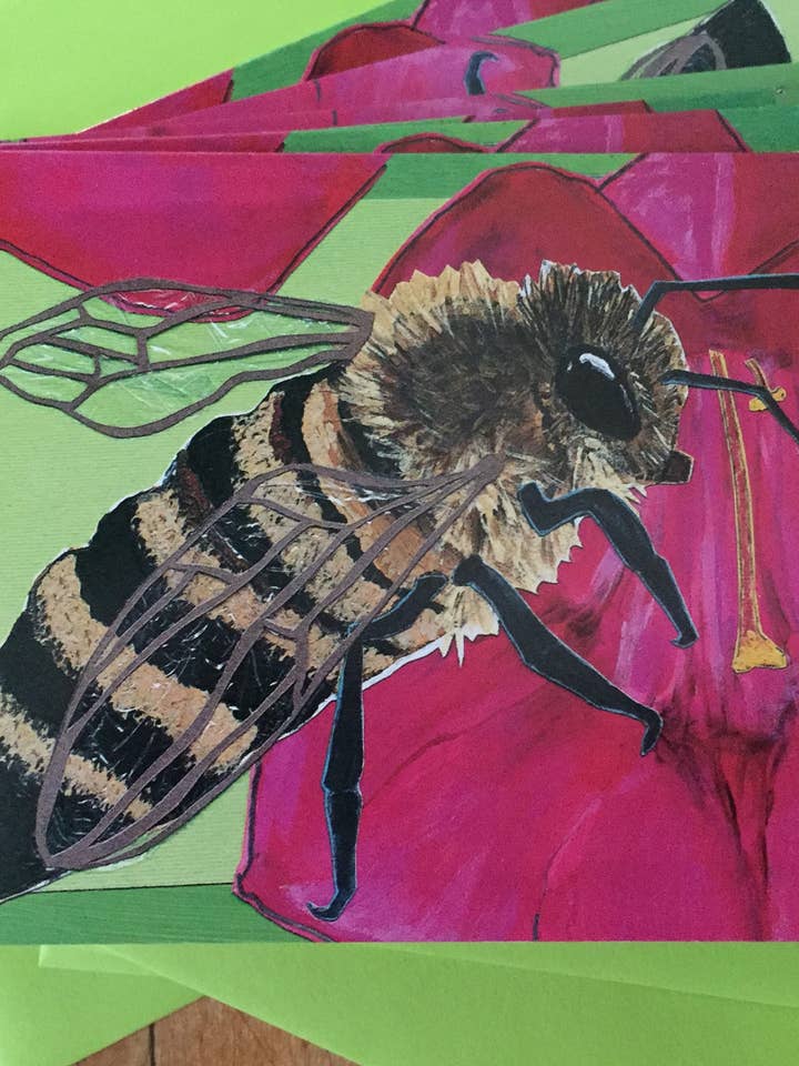 Tarjetas de notas en caja Honey Bee para venta al por mayor de Sunde White Industries