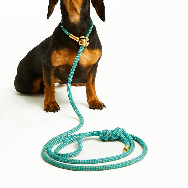 Mini Agave Confetti Simple Slip Lead™ for wholesale by Bubble and Spike