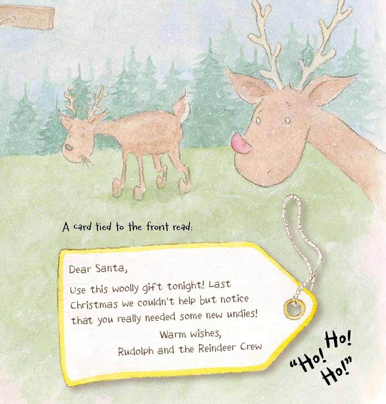 Sleeping Bear Press - Wholesale Book - Kids - Santa's Underwear Picture Book6