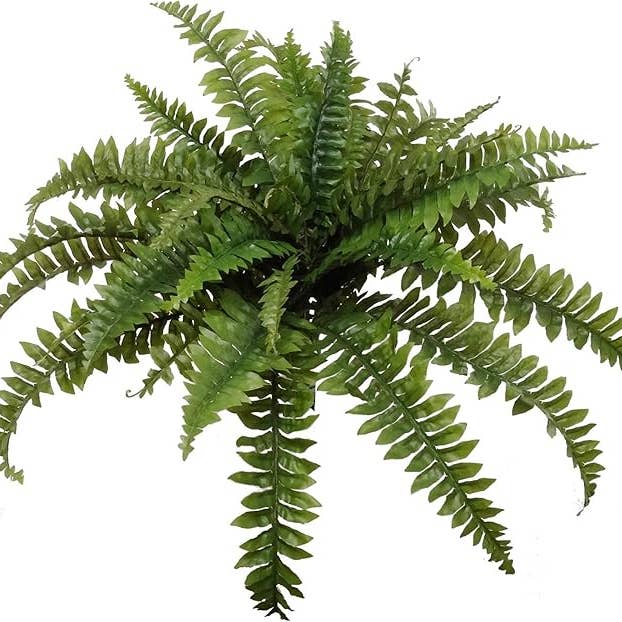 Larksilk – Engroshandel Kunstig plante – Boston Bregne Kunstig Plante UV-resistent Indendørs/Udendørs 33