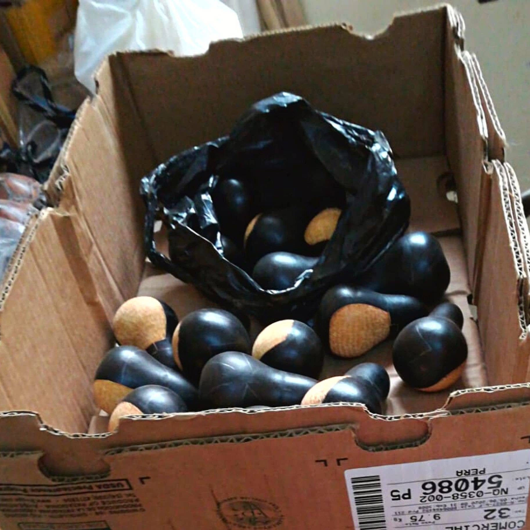 Blossom Inspirations - Vente Objets de décoration - Ornement gourde de Noël pingouin4