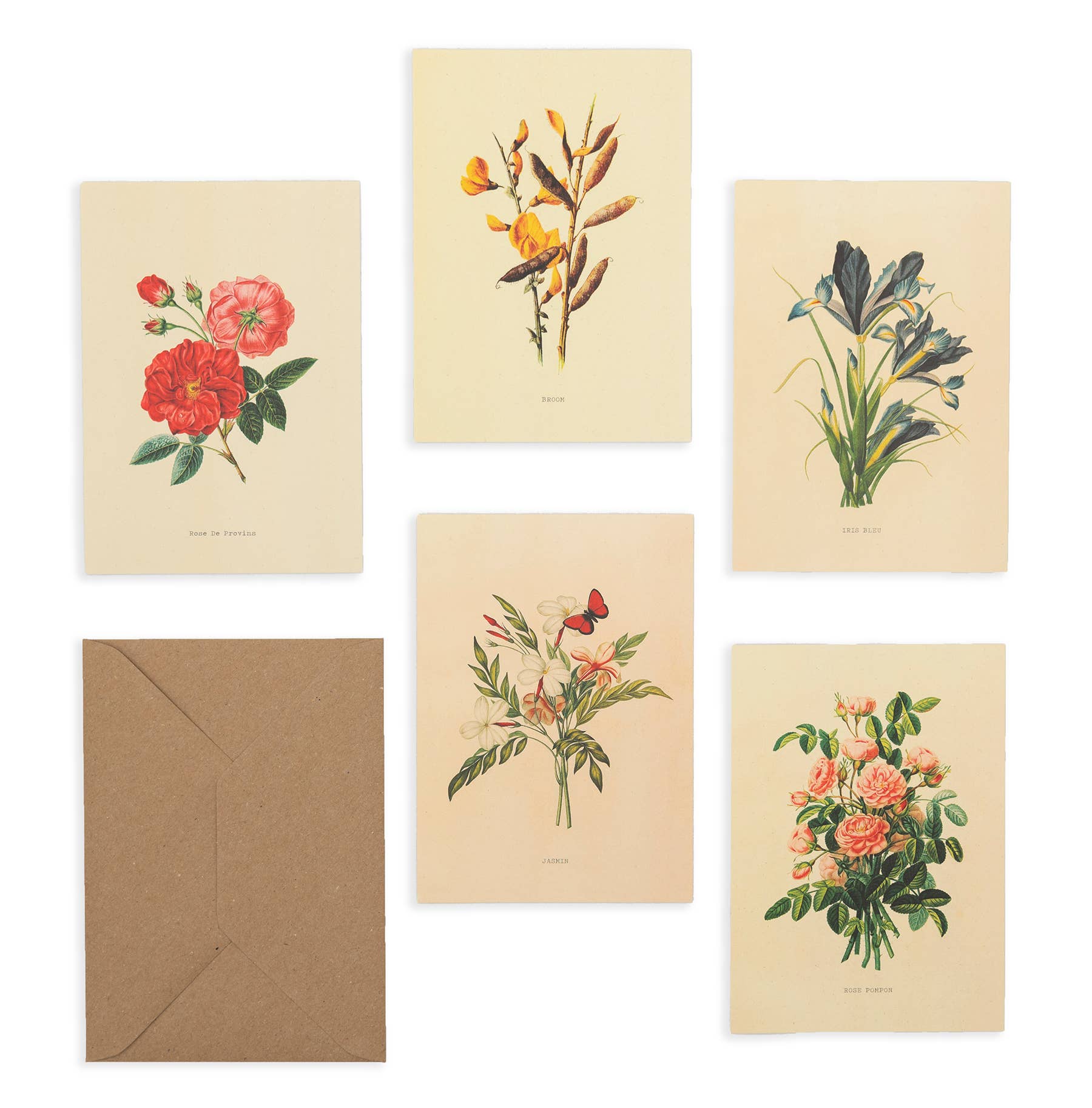 Esque – Envelopes por atacado – Envelope para Cartão Postal - Kraft Formato C61