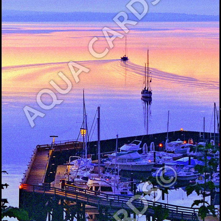 1214 - Langley Marina für den Großhandel von Aqua Cards