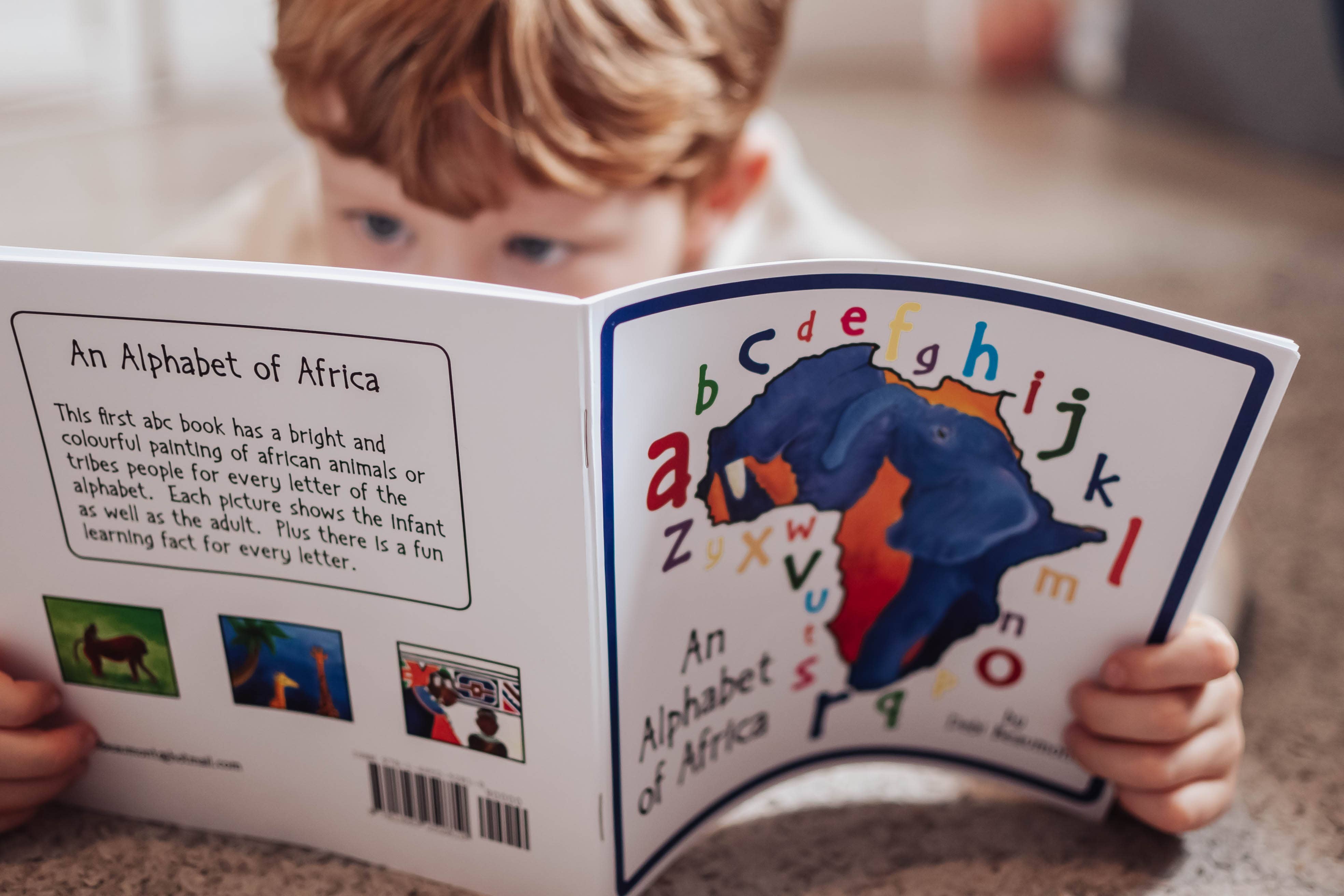 Tall Order - Wholesale Book - Kids - Children's ABC Book, African Alphabet Educational Book7