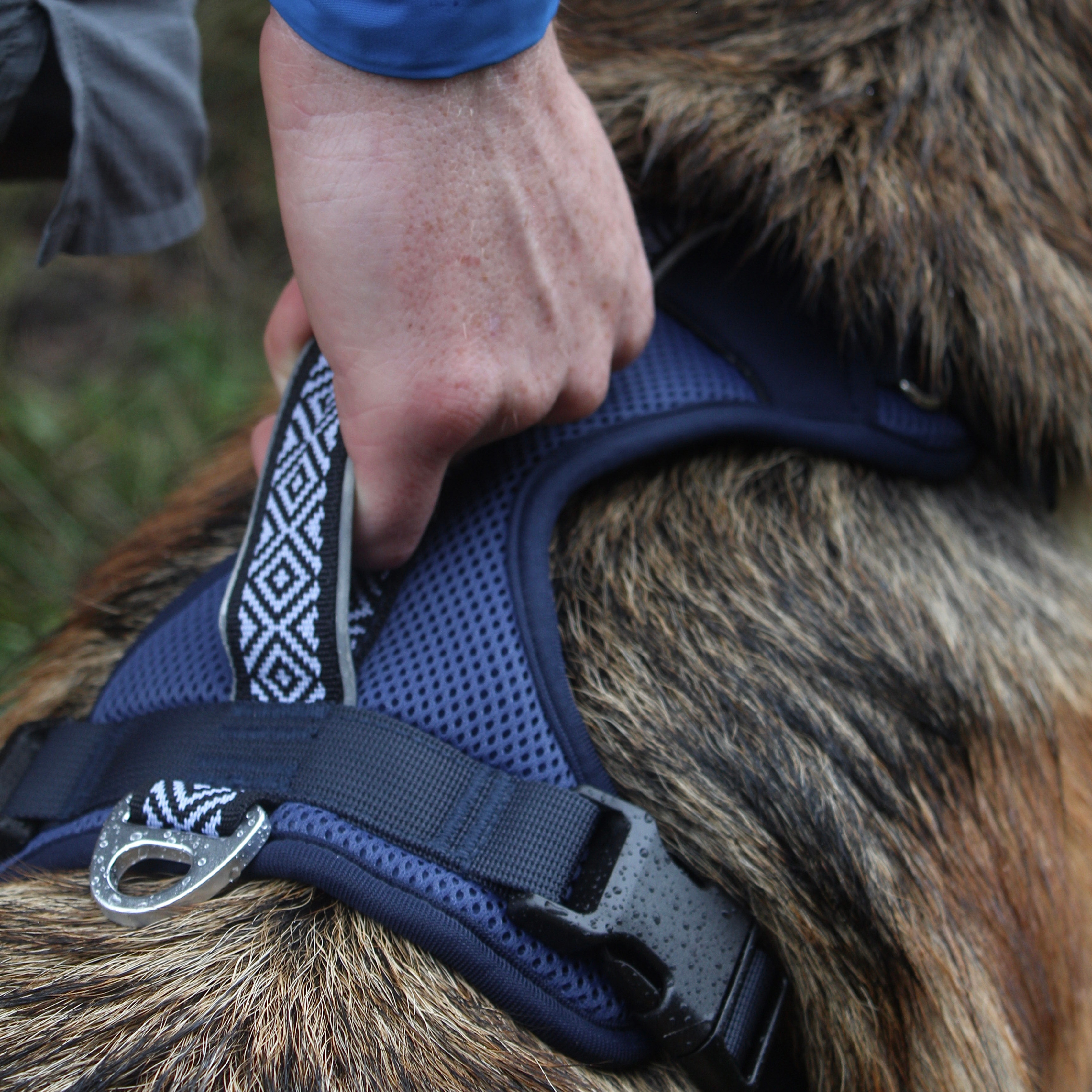 Air-Flow Harness - Dusk Blue for wholesale on Faire1