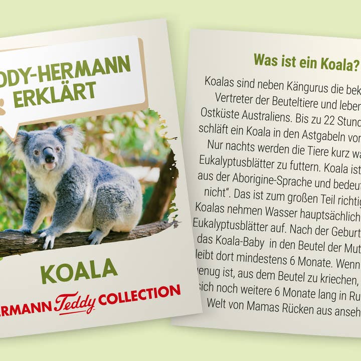Teddy Hermann - Wholesale Stuffed/Plush Toy - Kids & Baby - Koala 21 cm - plush toy - soft toy