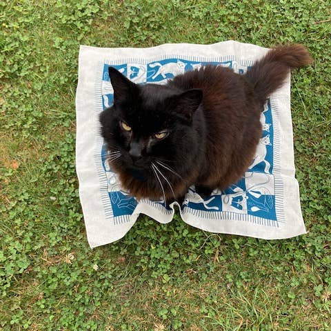 Pen+Pine - Wholesale Bandana - Unisex - Cozy Cats Bandana