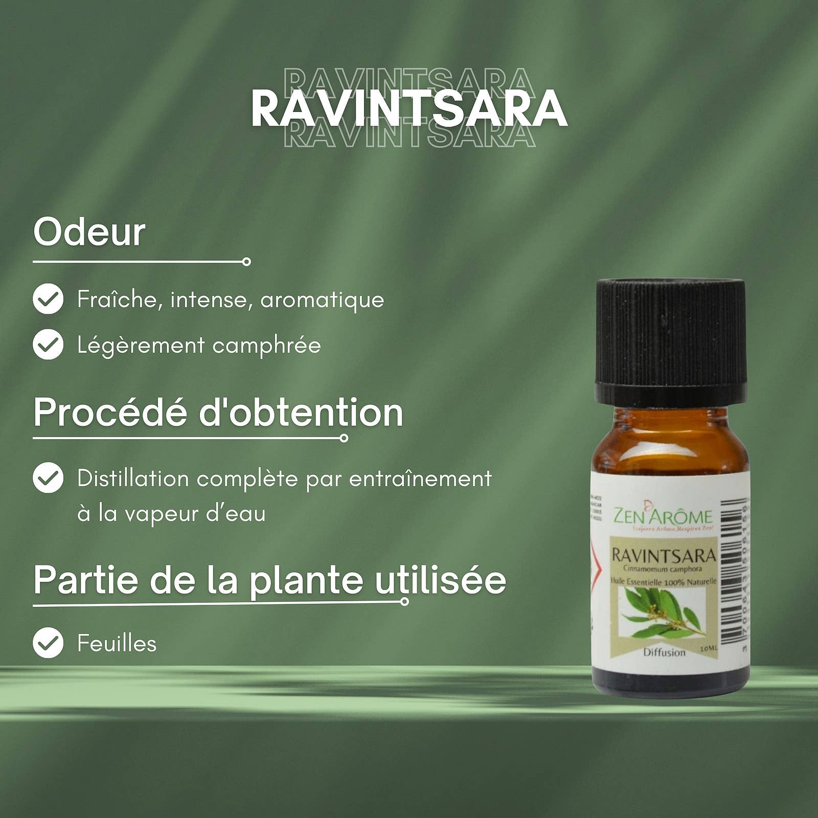 Zen'Arôme – Großhandel Ätherisches Öl – Ravintsara ätherisches Öl - 100% natürlich - 10ml6
