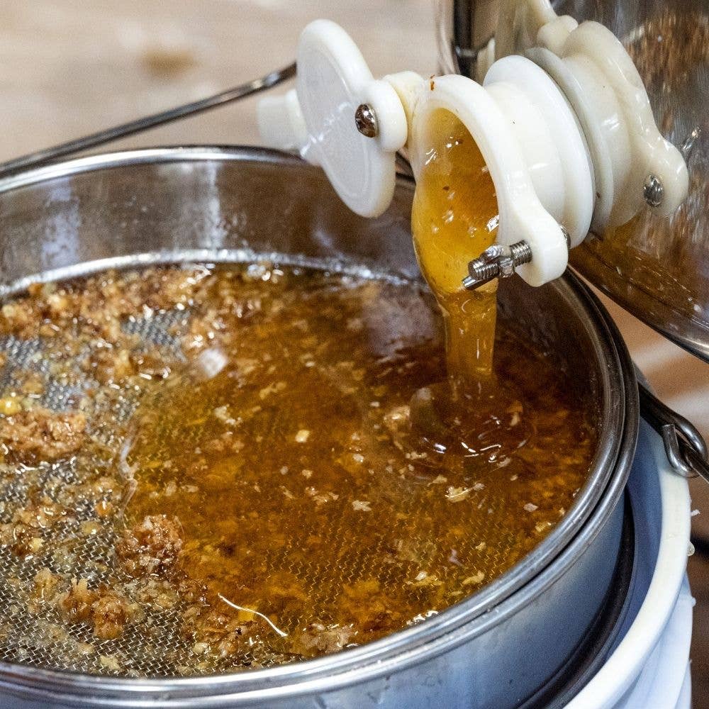 L'ABELLA MIEL - Wholesale Honey - L'Abellamel Raw Rosemary Honey 500G2