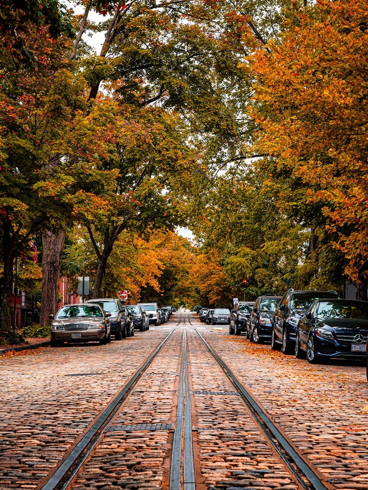 Washington DC-plakat - O Street for engroshandel hos Posters & Puzzles