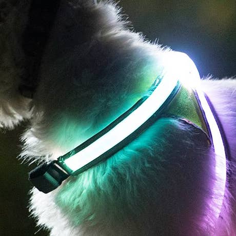 LightHound Illuminated Safety Harness for wholesale by Noxgear