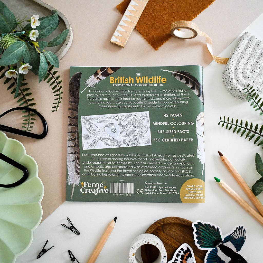 Ferne Creative - Wholesale Coloring & Activity Book - Adult - British Bird of Prey Educational Colouring Book3