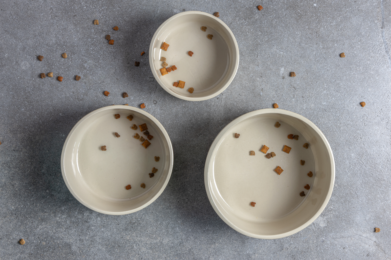 AVA bowls – tigela - Gato e cão por atacado – Tigela de cerâmica para alimentos Fennec4