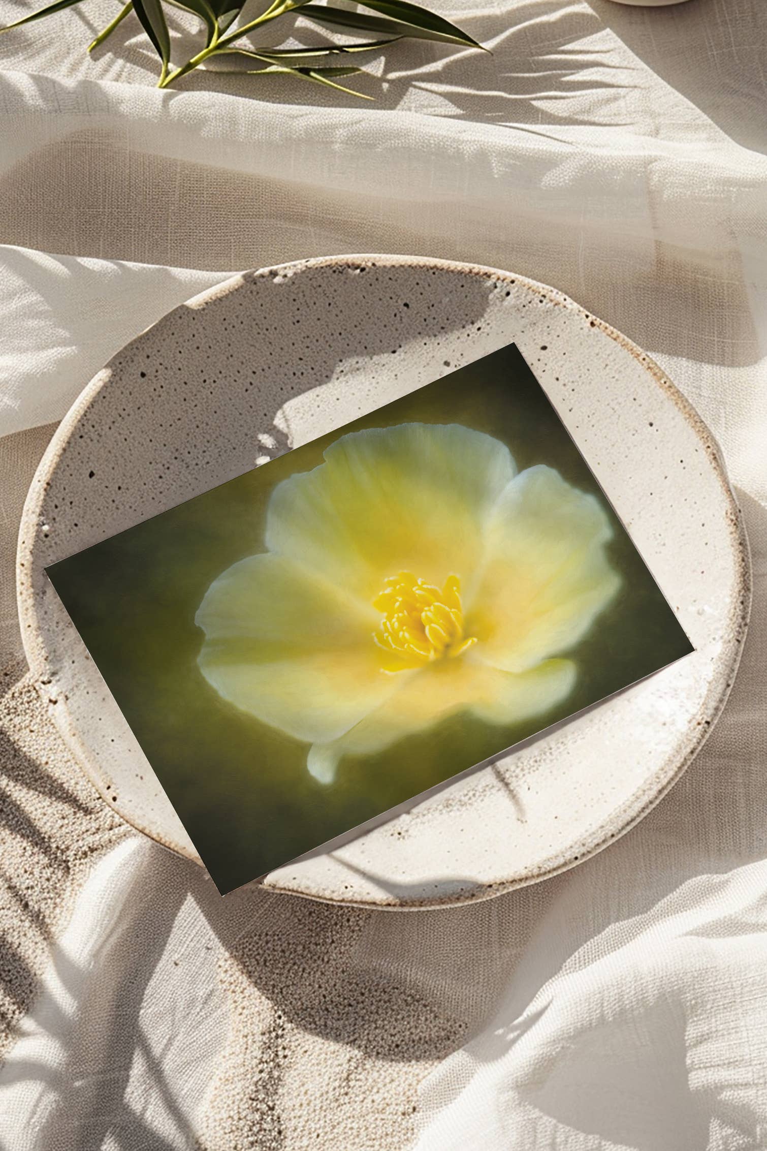 Sheryl’s Virtual Garden - Wholesale Everyday Greeting Card - Golden State Poppy Single 5x7 Yellow Flower Greeting Card1