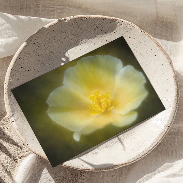 Sheryl’s Virtual Garden - Wholesale Everyday Greeting Card - Golden State Poppy Single 5x7 Yellow Flower Greeting Card1