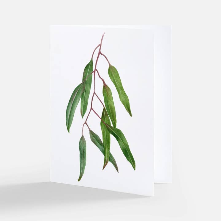 Green Branch Greeting Card for wholesale by Natella Libin