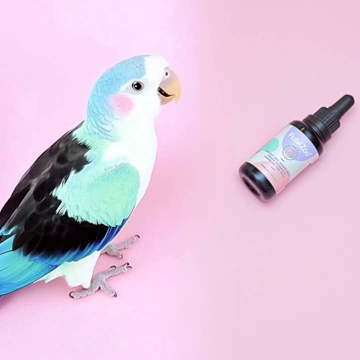 bionobo - Wholesale Pet Supplement - Not Cat/Dog - FulviZoo™ 30ml - Ácido fúlvico para mascotas8