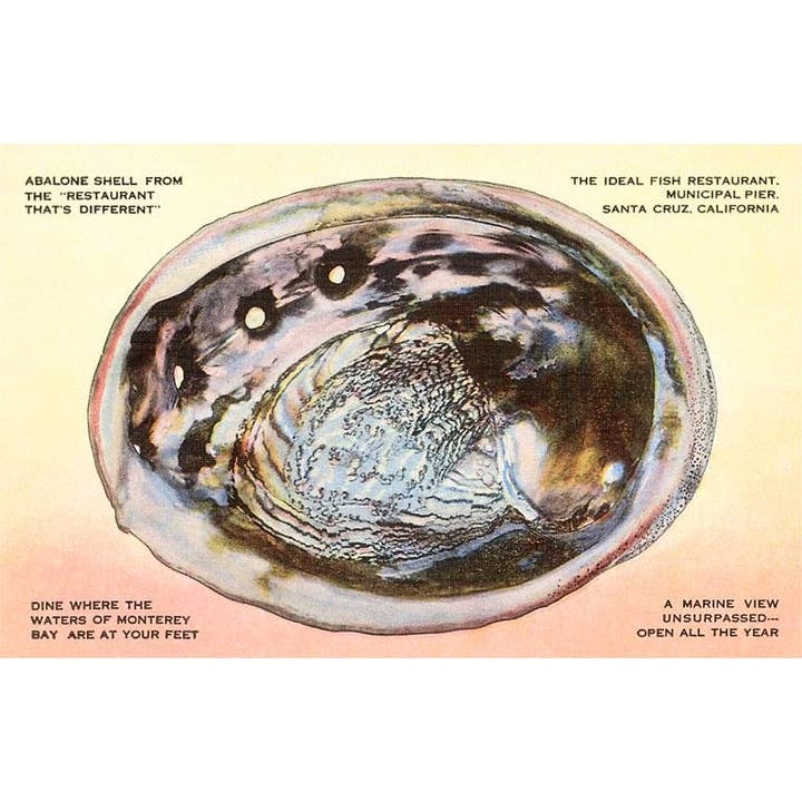 Found Image Press – wholesale Konsttryck – Konsttryck CR-14 Abaloneskal