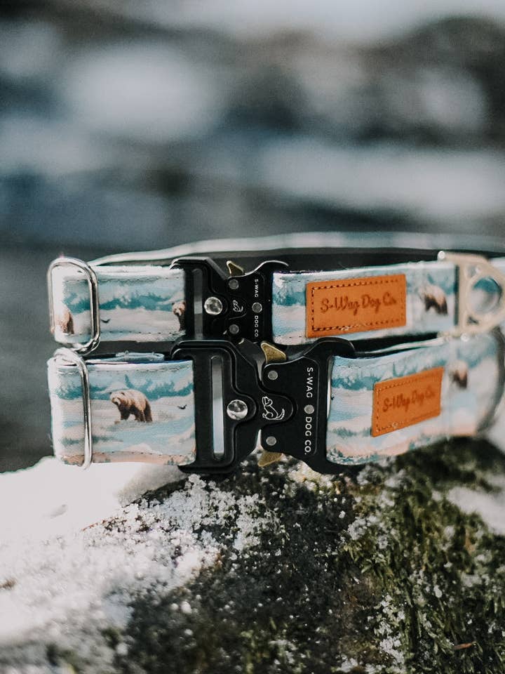 Eventyr, Bjørnescene, Vandafvisende Hundehalsbånd for engroshandel hos S-Wag Dog co.