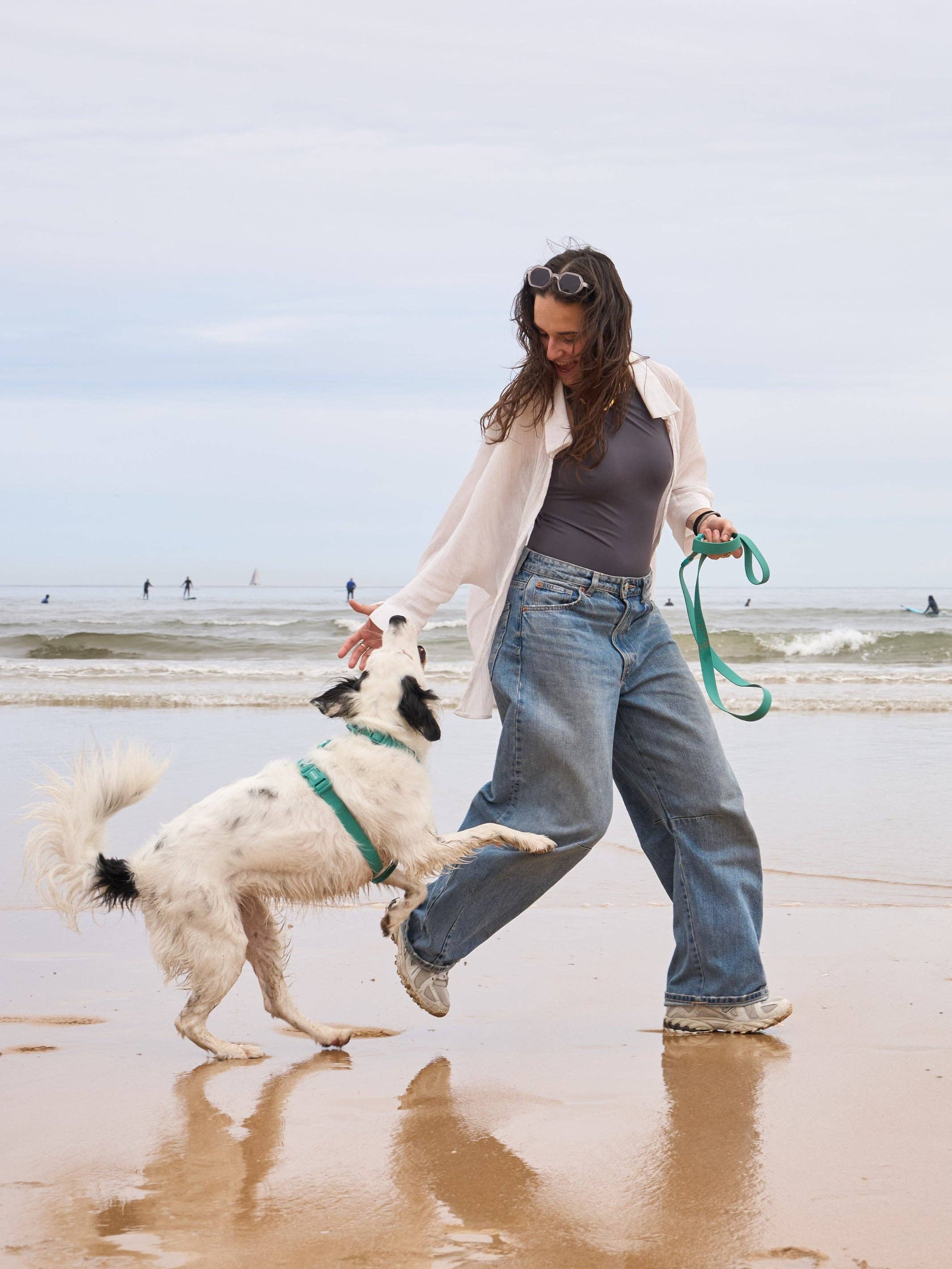 Dukier - Vendita all'ingrosso Pettorina - Cani - Pettorina impermeabile verde per cane4