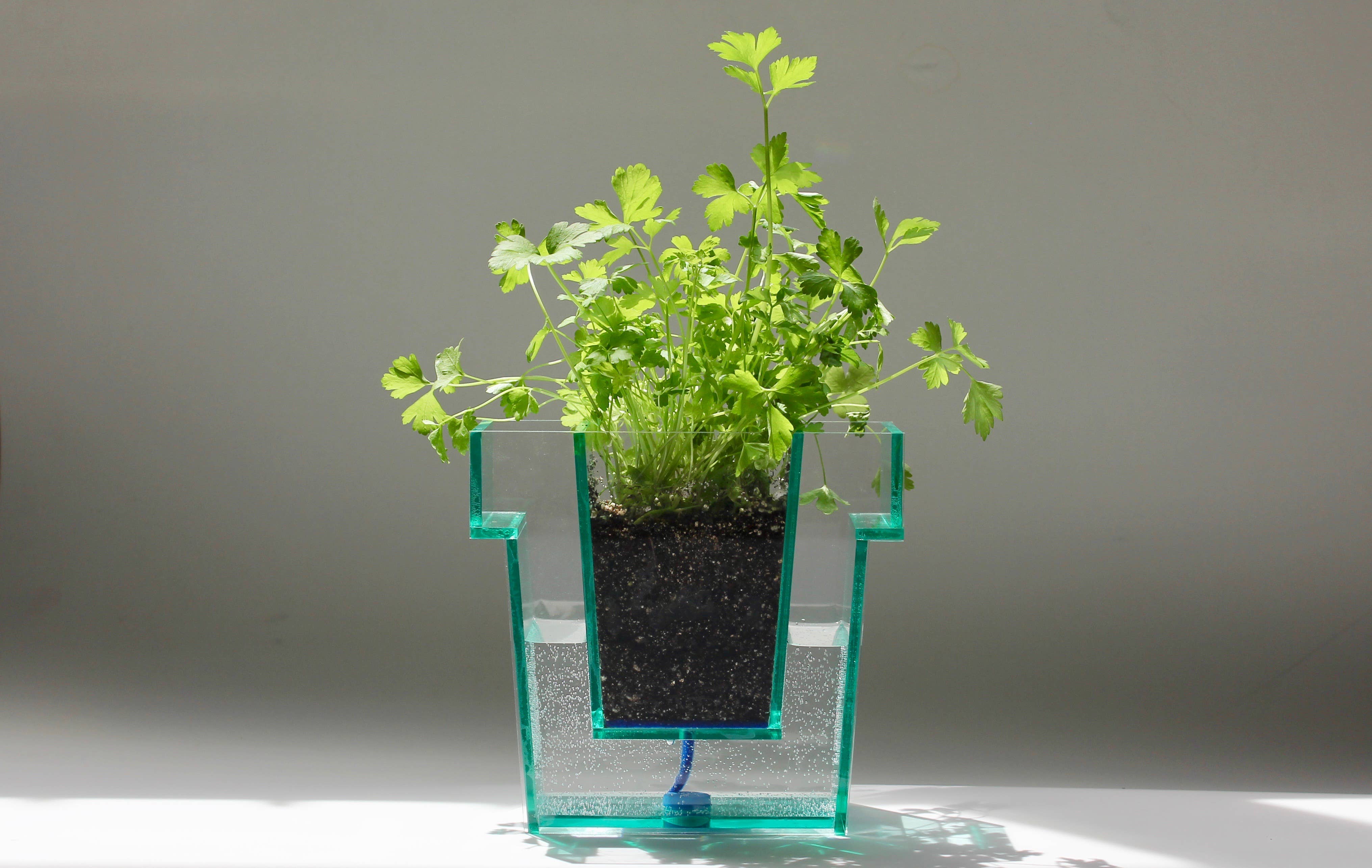 Object Rights - Wholesale Plant Pot - Self Planter3