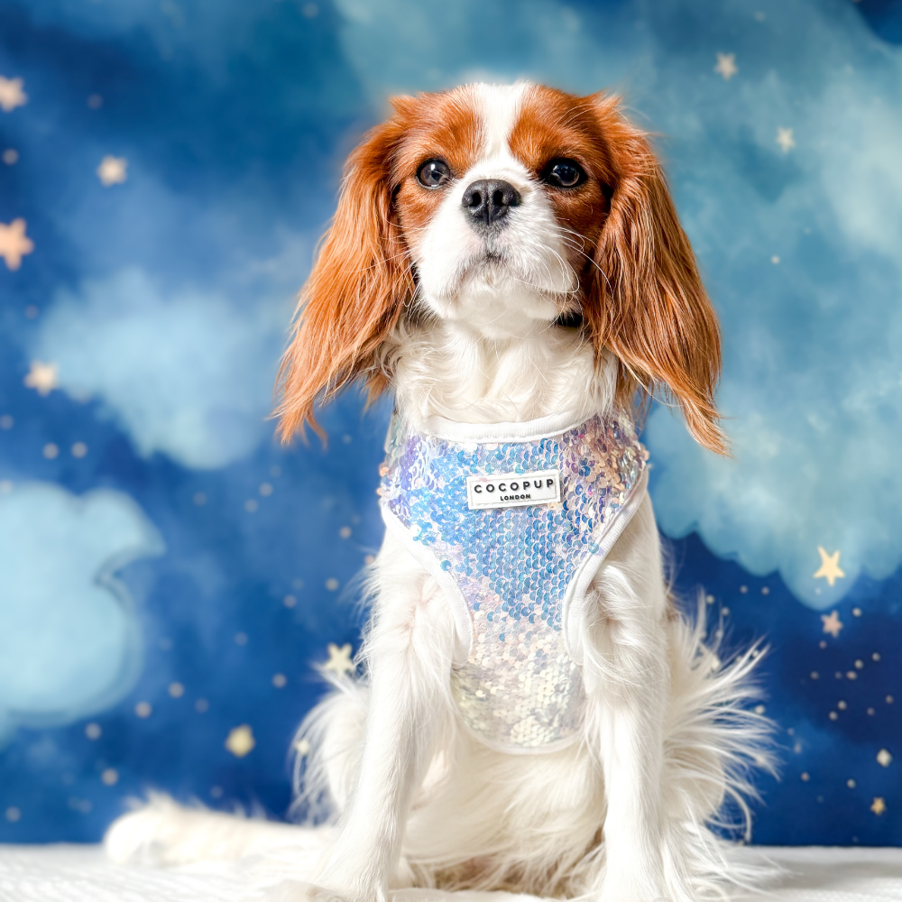 Cocopup London - Vendita all'ingrosso Pettorina - Cani - Imbracatura LUXE Party con Paillettes Olografiche36