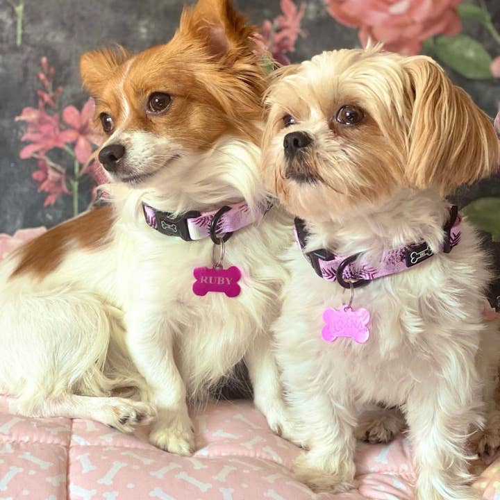 The Muttley Club - Wholesale Pet Collar - Dog - Palm Springs Adjustable Collar4