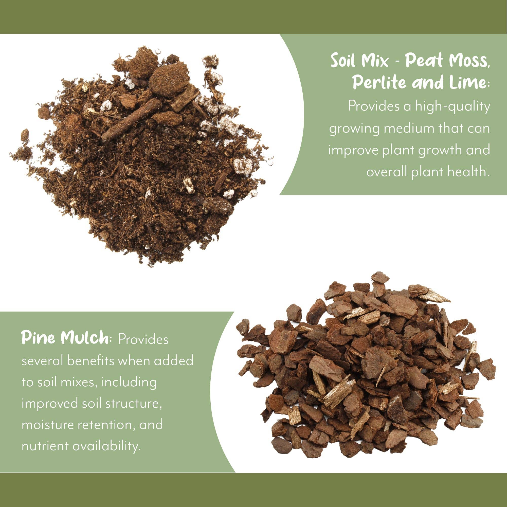 Kurated Korner - Wholesale Planting/Potting Soil - Soil Sunrise Fern Plant Potting Soil Mix3