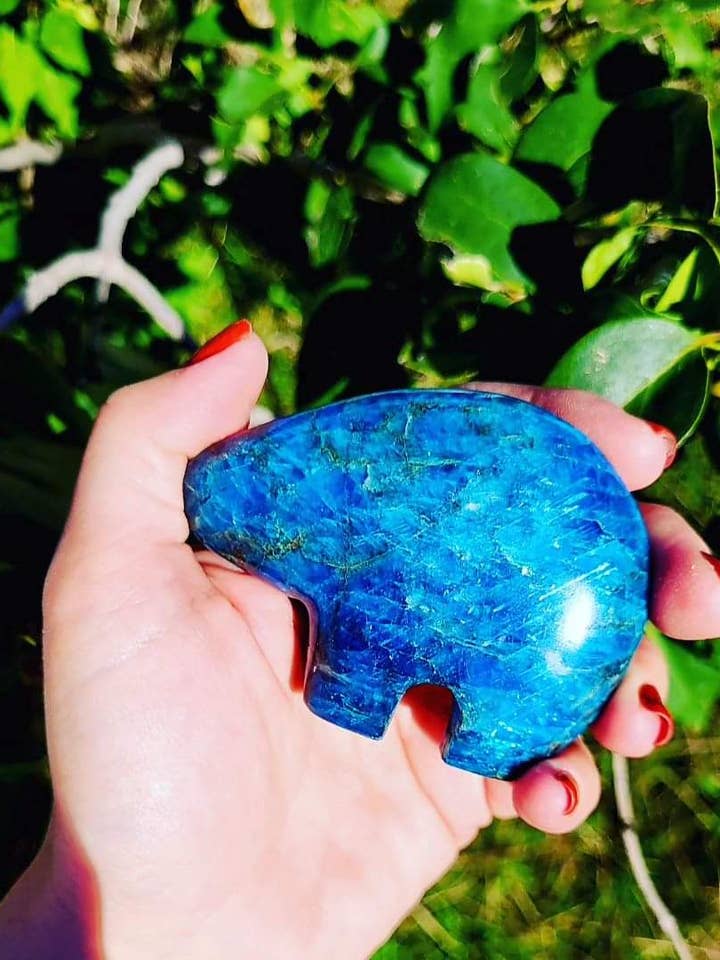 Blue Apatite Bear for wholesale by ZARDENIA