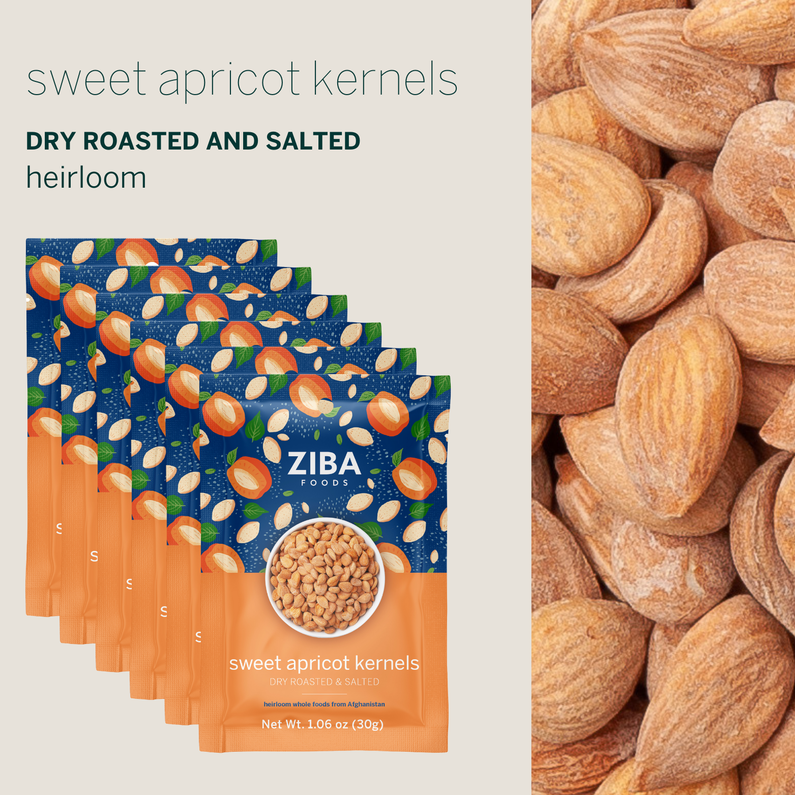 Ziba Foods – wholesale Nötter – Söta aprikosfrön (torrrostad och saltad) Vegan 1oz4
