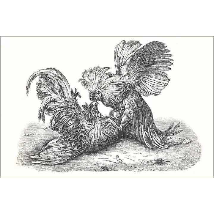 Found Image Press - Wholesale Magnet - Magnet BD-301 Cock Fight