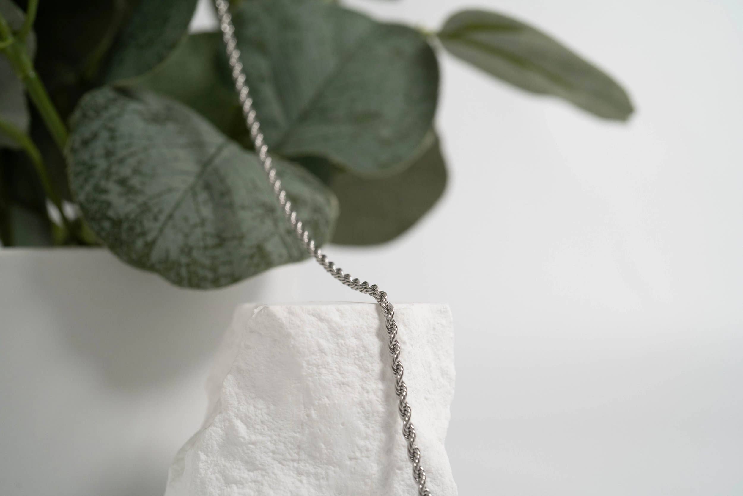 WJW - Wholesale Link & Chain Necklace - Stainless Steel Rope Chain Necklace 3