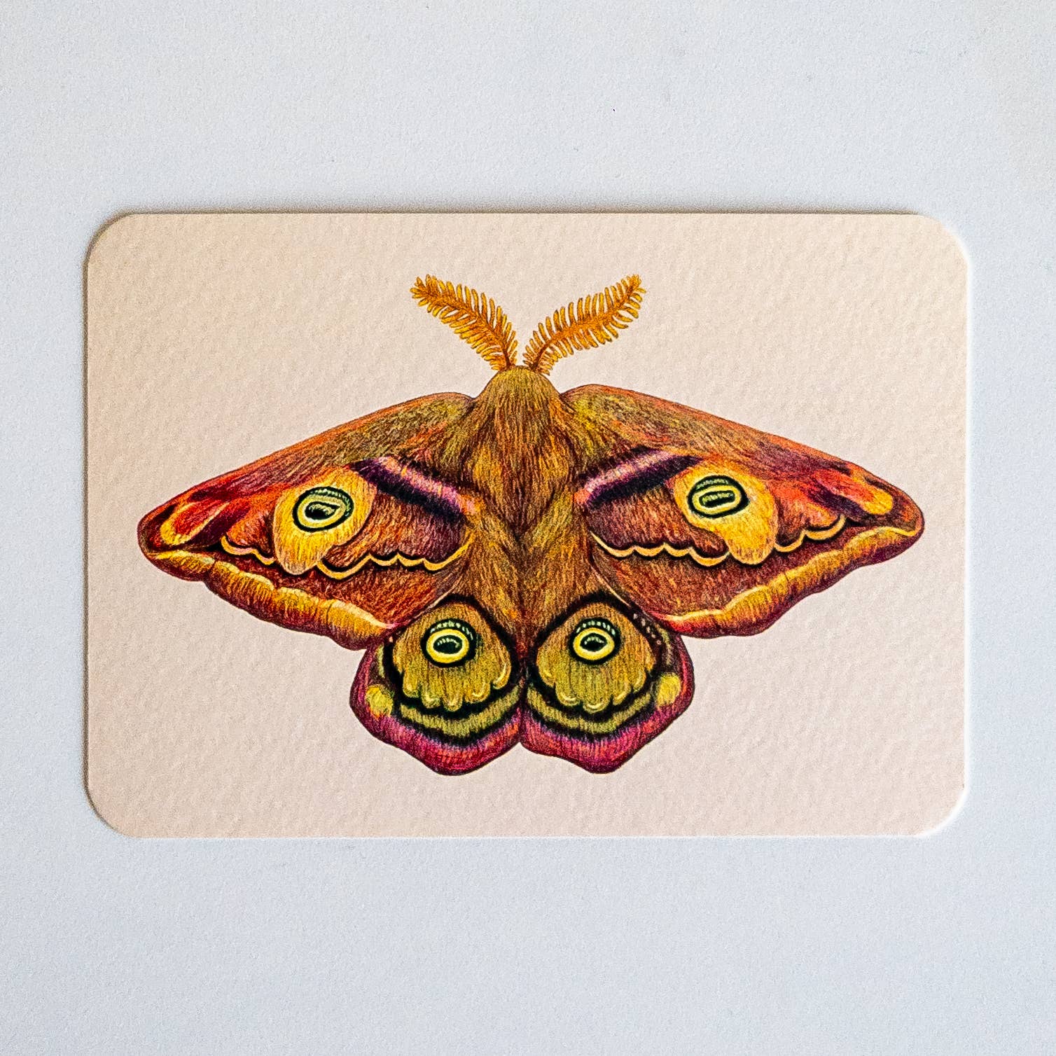 Studio Binck - Wholesale Postcard - Postcard THE THIRD EMPEROR0