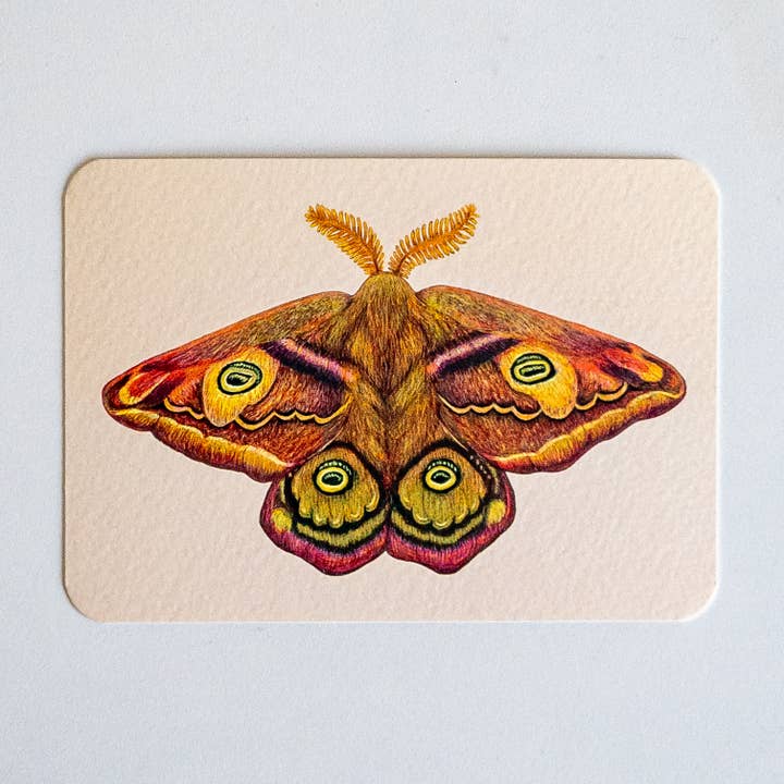 Postkort DEN TREDJE KEJSER for engroshandel hos Studio Binck