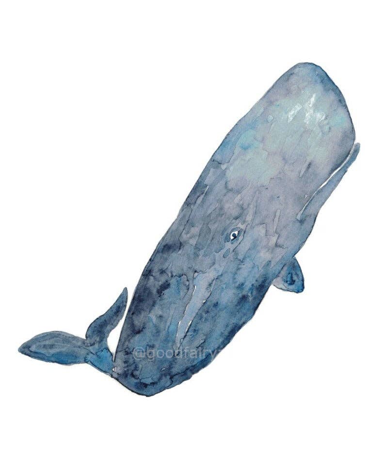 Goodfairyart - Wholesale Gallery Wall Set - Set of 3 Sperm Whale Cachalot Watercolor Painting3